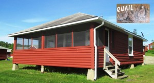Quail cabin with lake front view of Wallace Lake at Jackson's Lodge